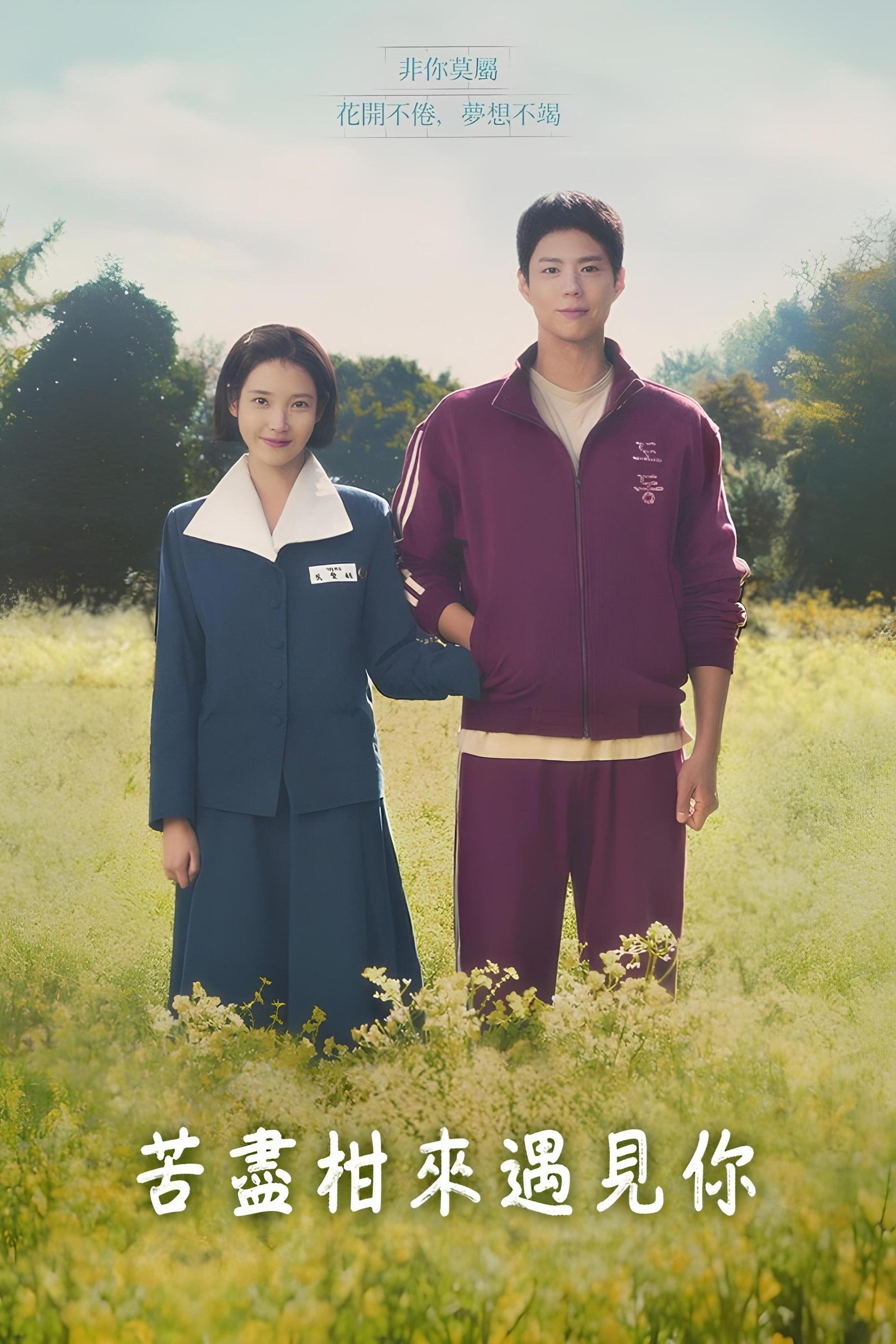 When Life Gives You Tangerines (Limited Series)