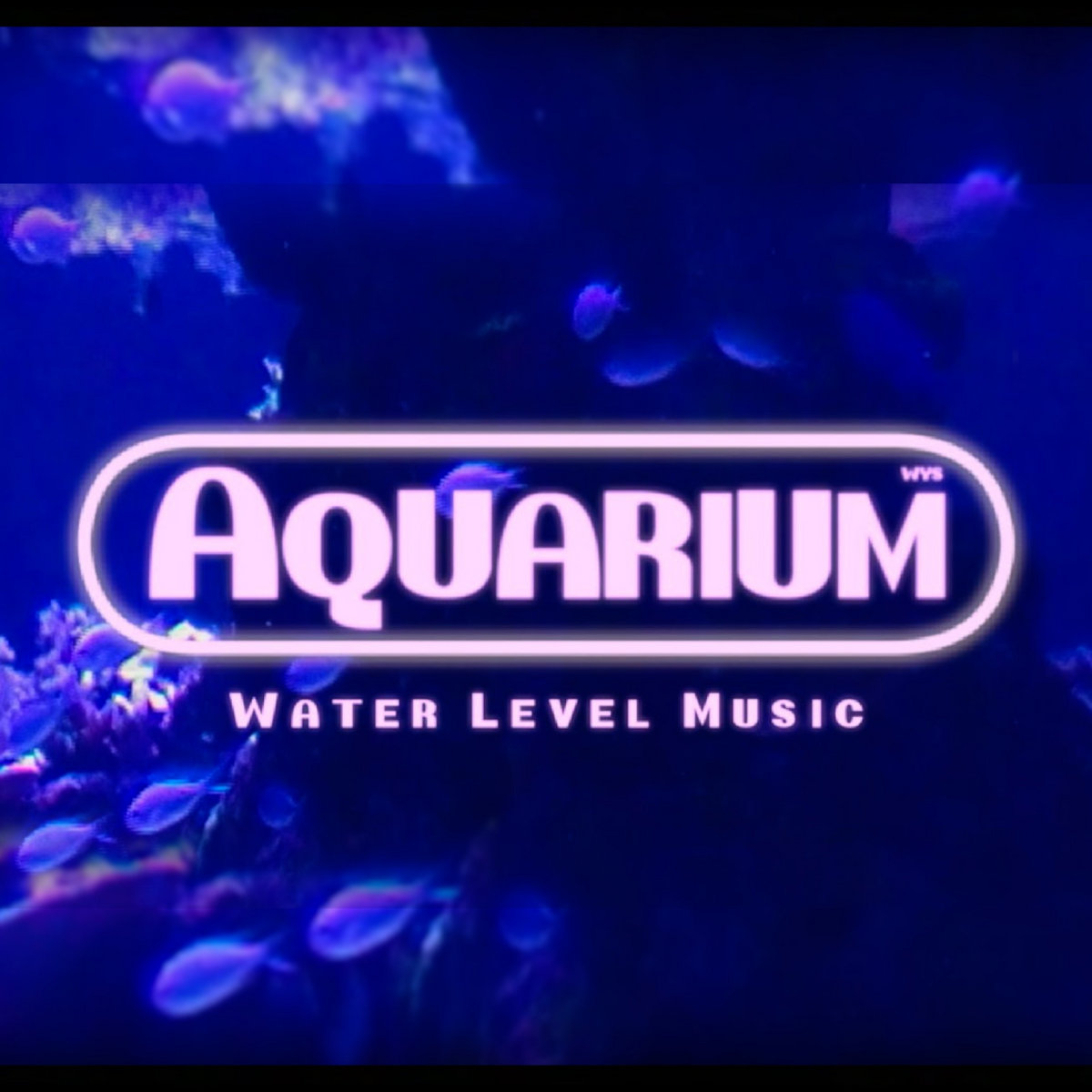 Aquarium (compilation)