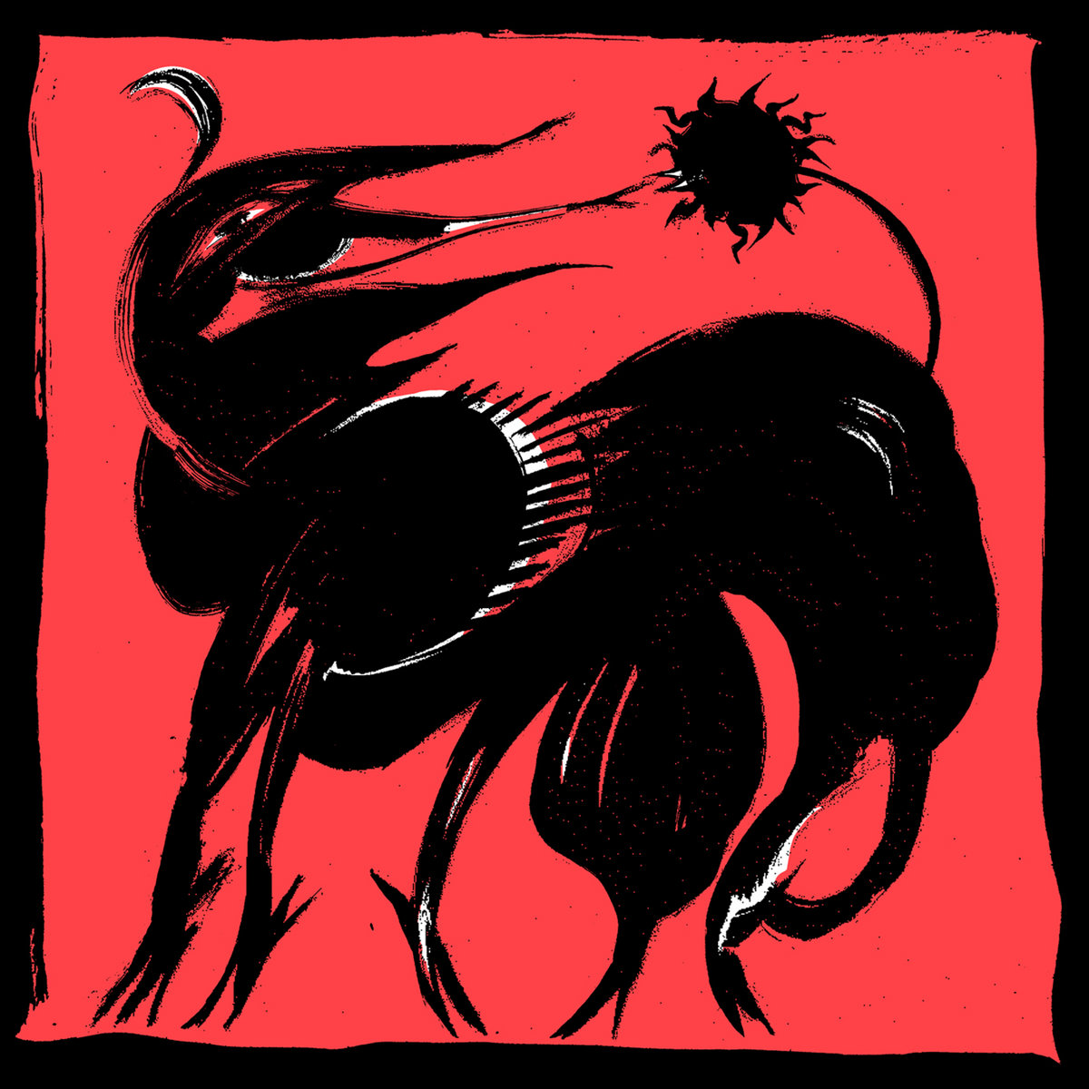 Caribaria