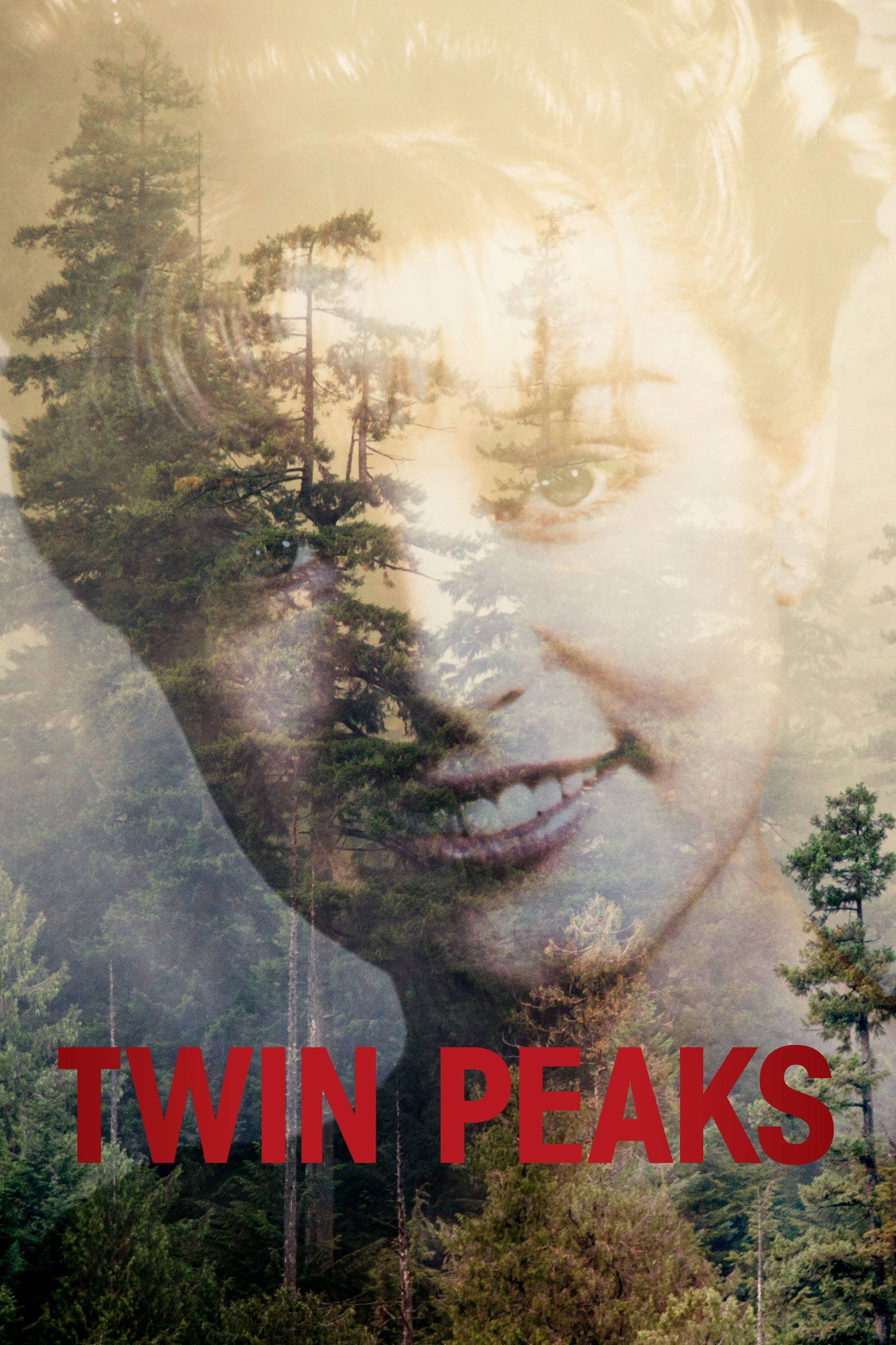Twin Peaks (The Return)