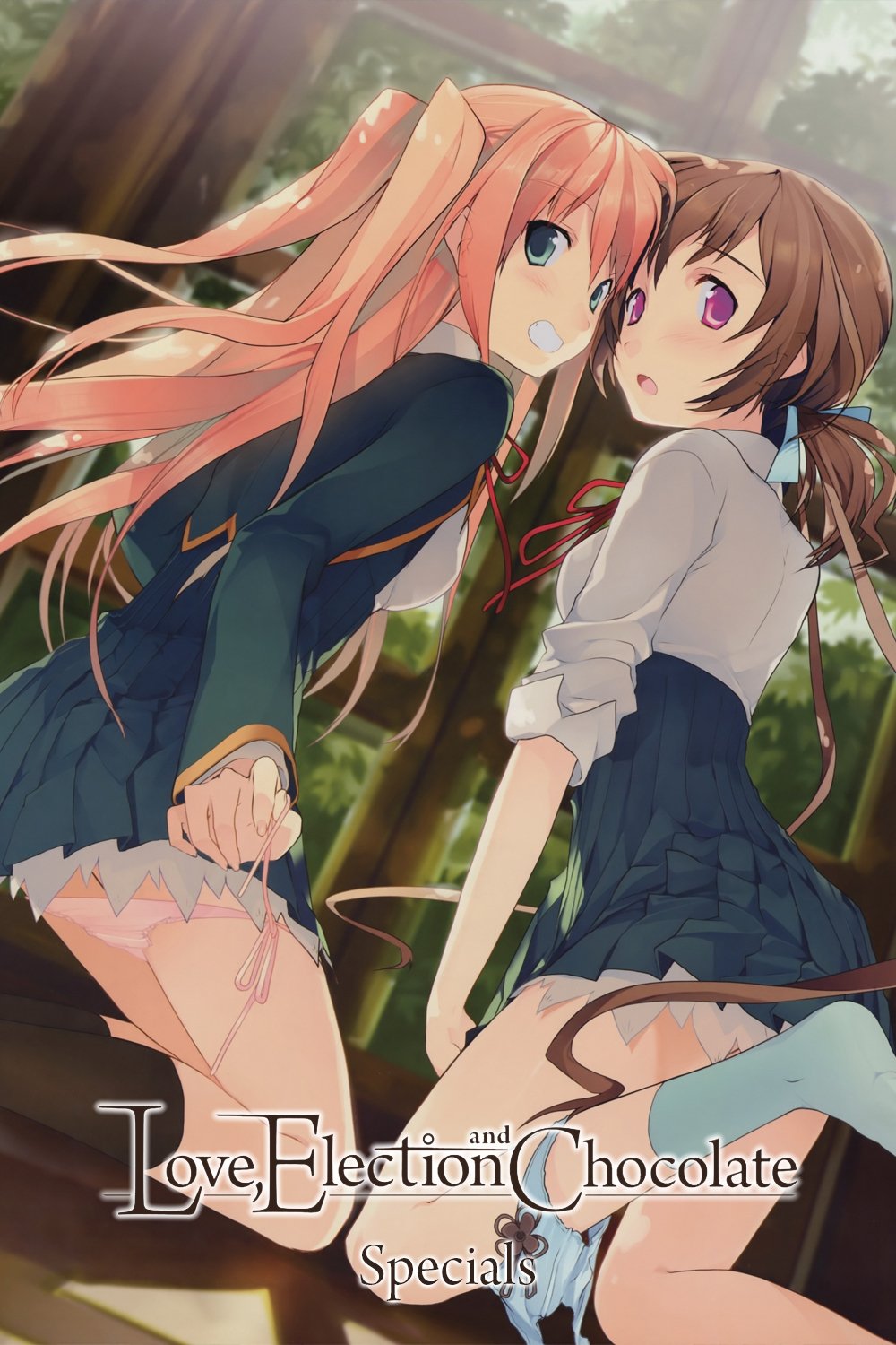 Love, Election, & Chocolate (Specials)